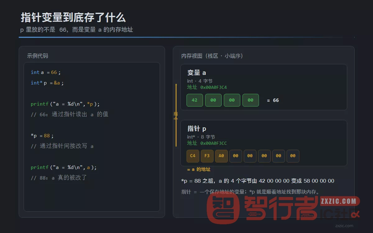 C 语言指针变量与内存视图：指针保存的是变量的内存地址