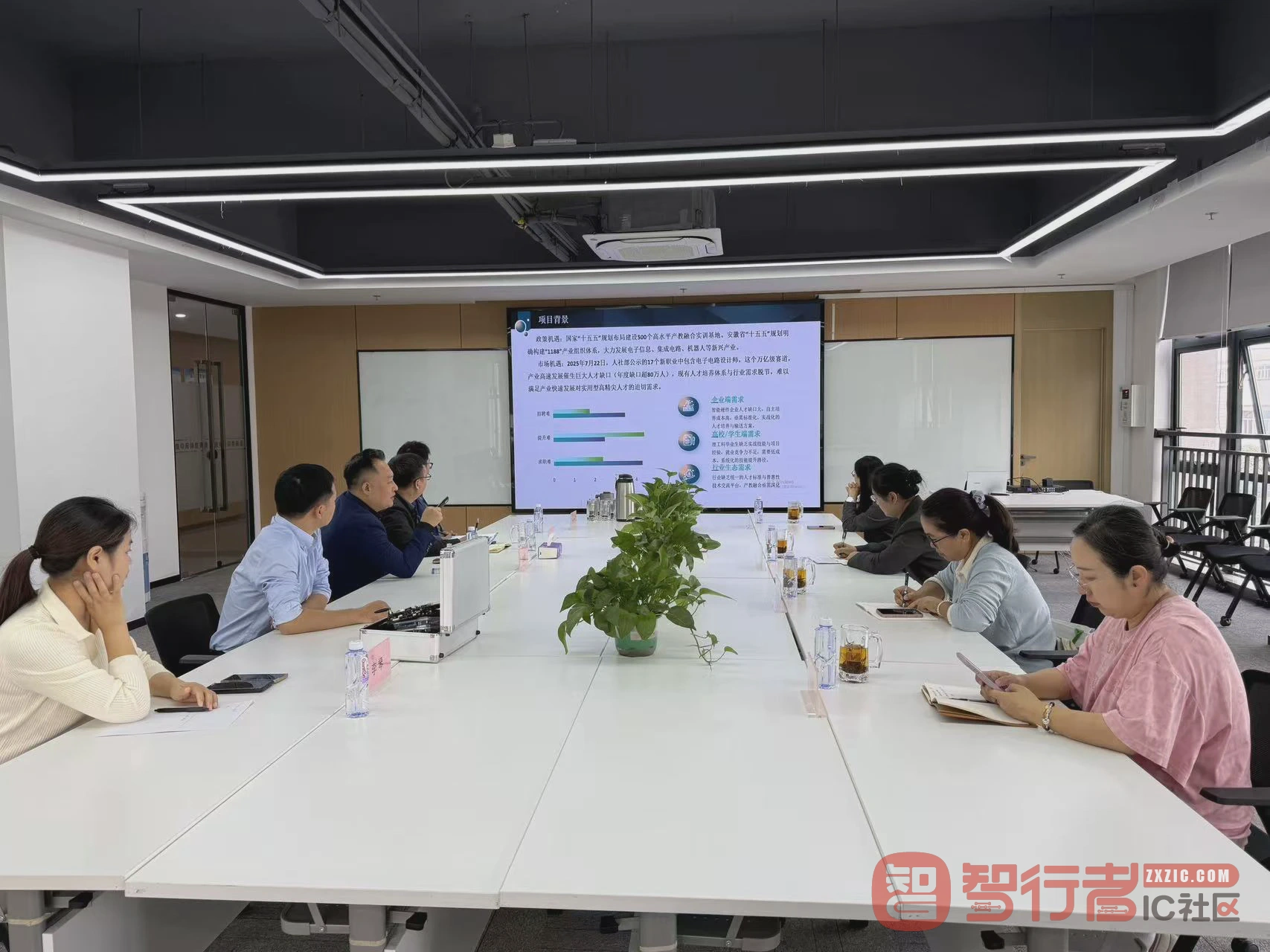 项目背景介绍